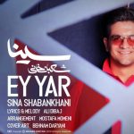 دانلود آهنگ سینا شعبانخانی به نام ای یار / وای عجب حاله بدی احساس تب دارم