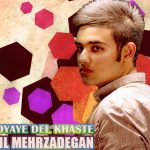 دانلود آهنگ سهیل مهرزادگان به نام رویای دلخسته