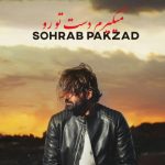 دانلود آهنگ سهراب پاکزاد به نام میگیرم دست تورو / از همین اول بگم من ازوناش نیستم میزنن میرن من