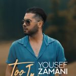 دانلود آهنگ یوسف زمانی به نام تو این هوا / یه کاری میکنم قصه ی من و تو بشه قصه