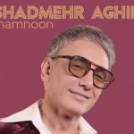 دانلود آهنگ شادمهر عقیلی به نام ممنون / دلم رفت پاهام موند