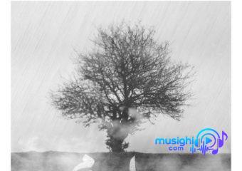 دانلود آهنگ ایهام به نام تمام نا تمام / ای دلربا دلتنگم با من سر جنگ داری
