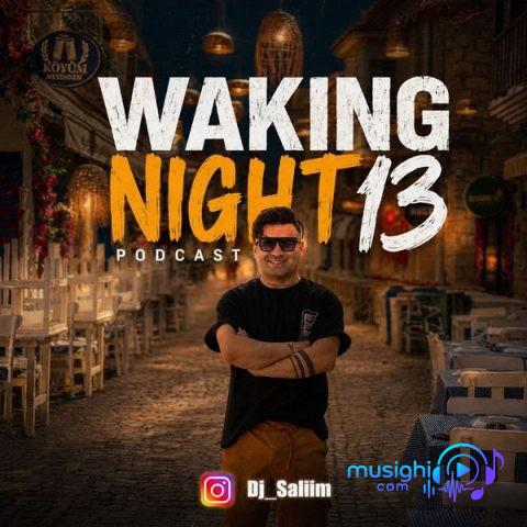 دانلود پادکست دیجی سلیم Waking Night 13