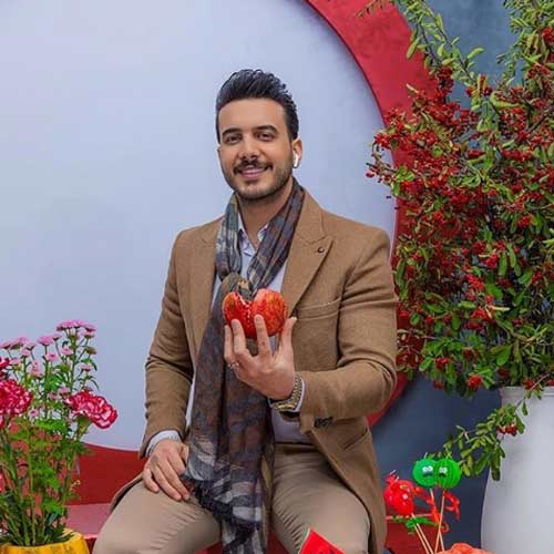 دانلود آهنگ شروین پناهی دی