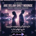 آهنگ اره دلم گیرت مونده عزیزم نرو تنهام نزار