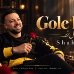 دانلود آهنگ شاهان گل رز / تو سرم ببیچه صُب به صُب هوات
