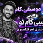 دانلود آهنگ حبیبی کام تو جنوب بندری امیر تنگسیری (ریمیکس) +متن ترانه